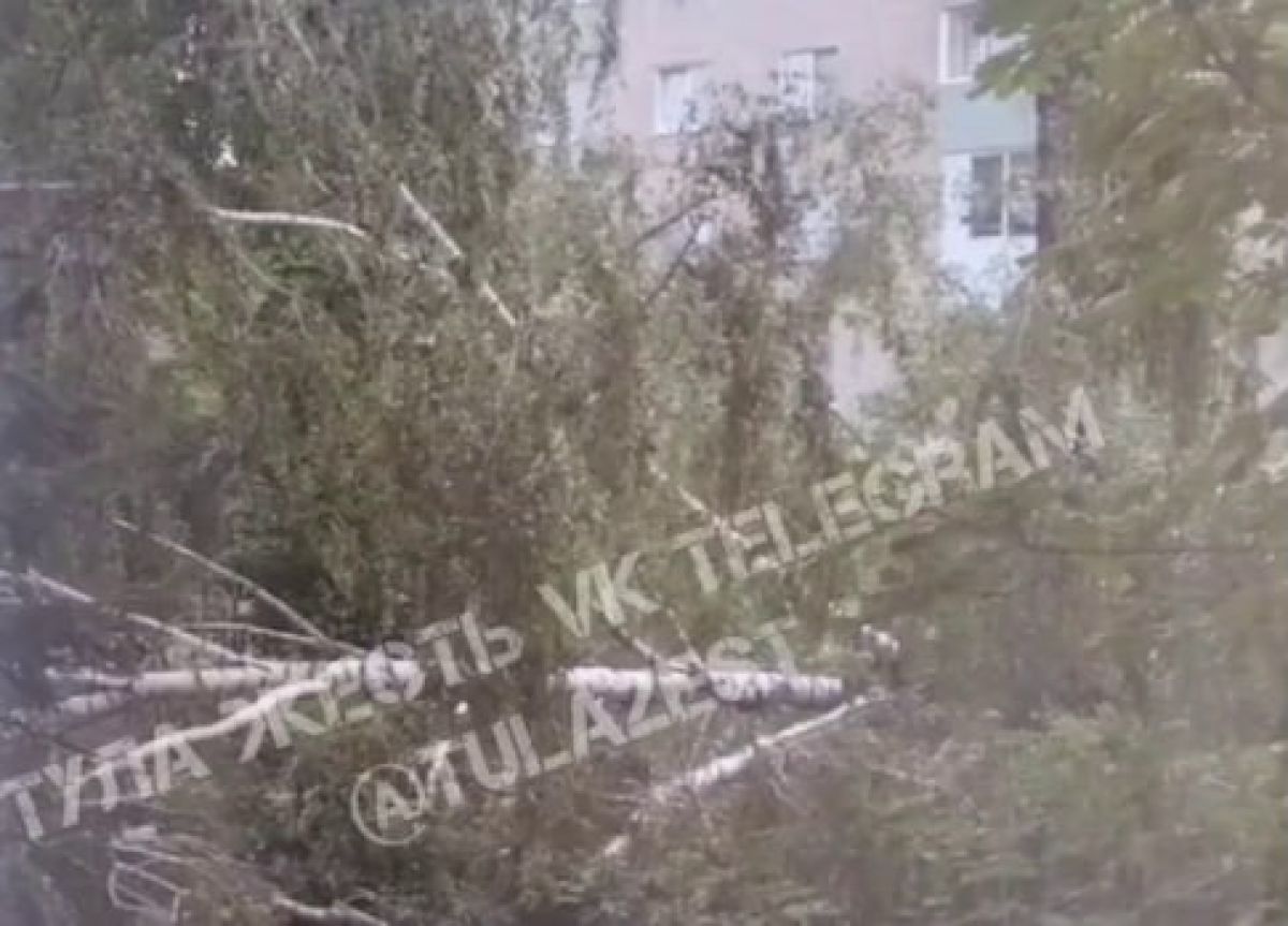 В Туле упавшие дерево оборвало линии электропередач     В Туле на улице Седова, 33А упавшее дерево оборвало линии электропередач.  ↗  Прислать новость   Подписаться