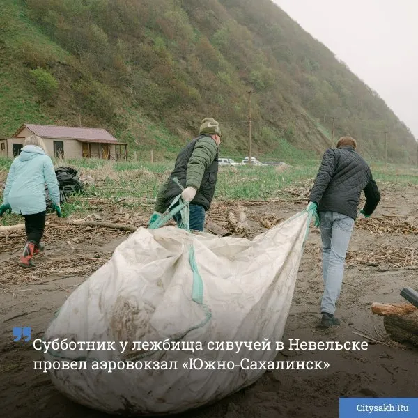 Сотрудники главной авиагавани Сахалина провели субботник на побережье Татарского пролива в Невельске в районе лежбища краснокнижных сивучей За несколько часов участники собрали 18 мешков мусора Новости в MAX только важное не тормозит купим ваши новости 79147662000