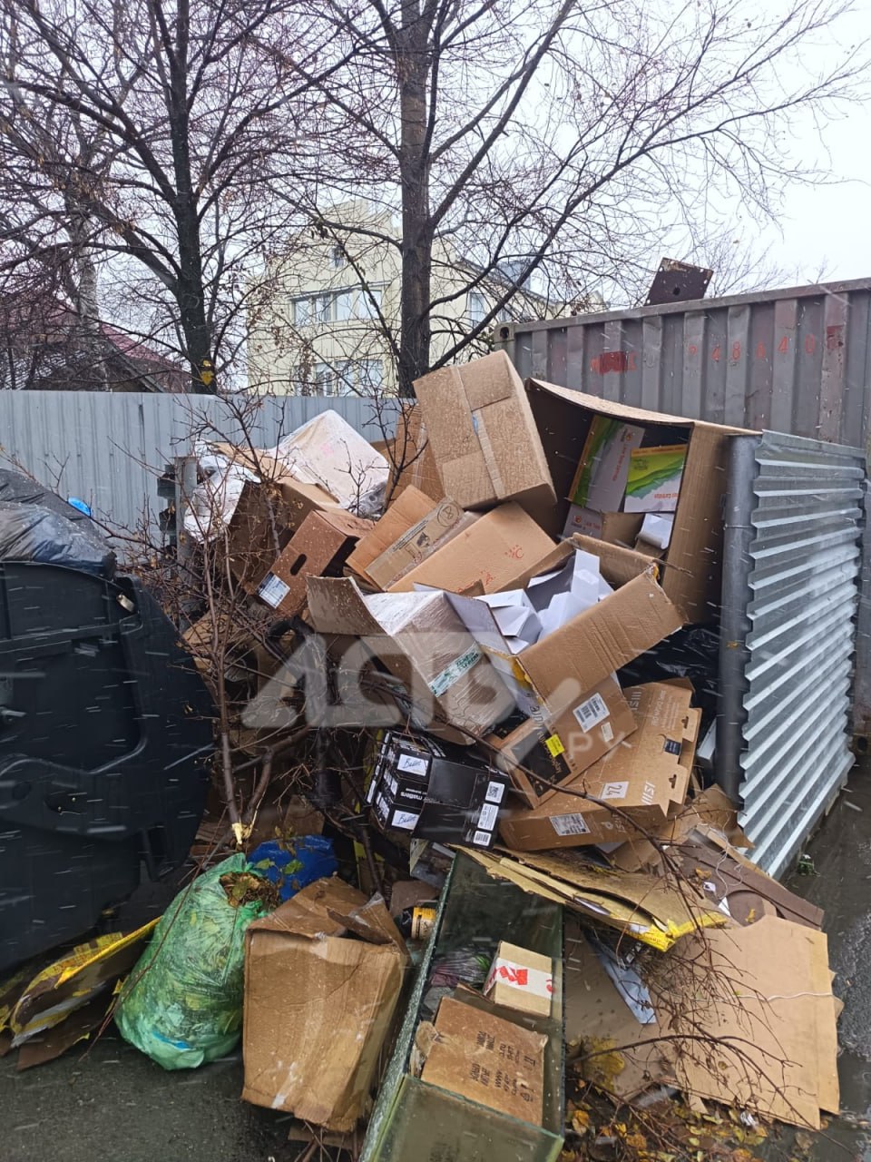 Южносахалинцы жалуются на заваленную мусорку рядом с тремя приличными организациями На нерегулярный вывоз мусора с площадки по улице Саперной жалуются жители Южно Сахалинска Горожане удивлены ведь рядом расположены три очень уважаемые организации Театр кукол Арбитражный суд и Дом профсоюзов А мусорки завалены так что смотреть страшно И это в центре города Договоры на вывоз у нас есть но с лета проблемы Сейчас снегом накроет кучи и все переживают южносахалинцы Люди также добавили что у мусорной площадки стали часто замечать неприятную живность По их словам под картоном плодятся крысы которые уже как собаки размером Astv ru направил запрос к регоператору ТКО Там подтвердили что указанное место накопления отходов в районе улицы Сапёрной используют три юрлица Кукольный театр Дом профсоюзов и Арбитражный суд Каждая из указанных организаций имеет договор с регоператором на вывоз отходов Мусор вывозят в полном объёме и по графику согласованному договором Если отходов образуется больше чем указано в договоре собственник должен подать заявку на вывоз дополнительного объёма После этого вывоз выполнят в течение 3 х дней с даты подачи заявки отметили представитель регоператора Там также уточнили что обязанность по проведению дератизации дезинфекции и уборке территории площадки входит в обязанность собственника места накопления отходов Прислать новость Подписывайся на АСТВ ру