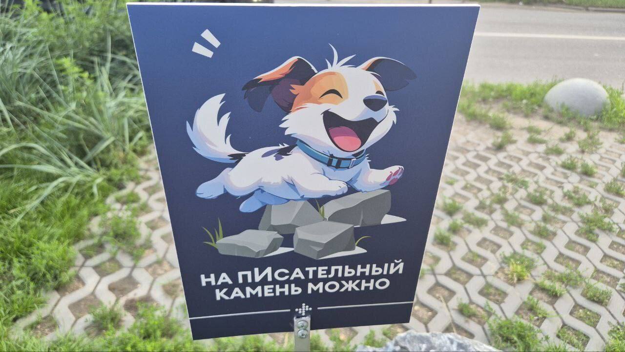 «Писательные» камни устанавливают для собак в Москве. Они нужны, чтобы питомцы не портили цветы.