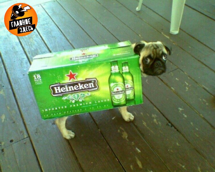 Ушедший из России Heineken объявил о массовом сокращении персонала Руководство нидерландского гиганта пивоварения намерено сократить 7 персонала в 2026 2027 годах Сейчас в компании работают 85 тысяч сотрудников под массовое сокращение попадают около 6 тысяч человек Руководство Heineken считает что подобная стратегия позволит оптимизировать растущие издержки и повысить эффективность труда оставшихся сотрудников Напомним в 2023 году Heineken продал бизнес в России за доллар Главное здесь Подписывайтесь