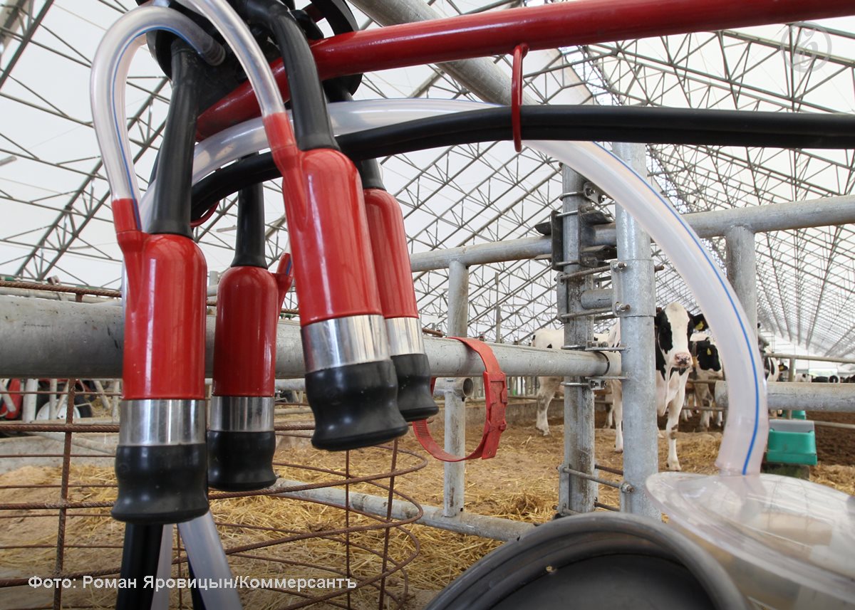 Нижегородский молочный союз и животноводы заявили о критической ситуации в отрасли из за курса рубля оттока кадров и снижения цен на сырое молоко Они опасаются убытков уровня 2023 года когда отрасль ушла в минус на 1 7 млрд руб и просят власти пересмотреть программы поддержки агропромышленного комплекса В областном минсельхозе не считают ситуацию критической и рассчитывают к 2030 году увеличить производство молока на 12 до 830 тыс т Местные власти назвали сегодняшнее положение аграриев сложнейшим и вместе с депутатами заксобрания попросили правительство стимулировать развитие села Подробности в материале Молочников придоило   Подписывайтесь на Ъ Приволжье