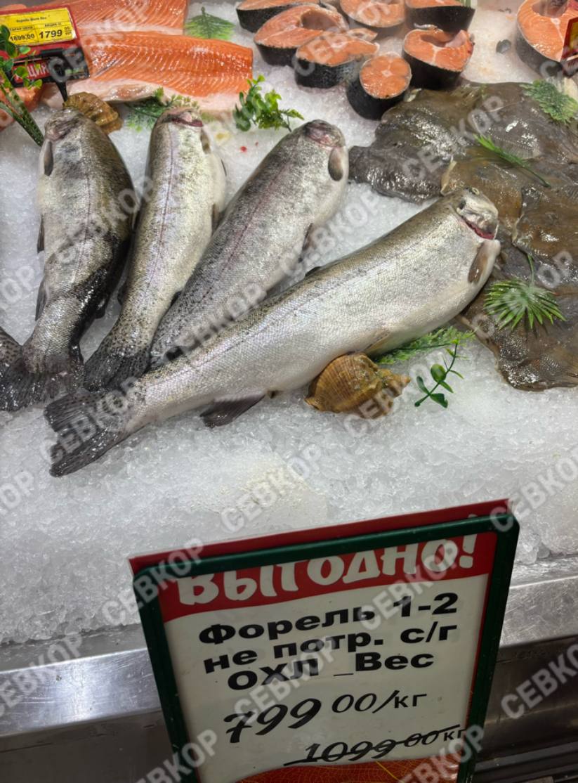 В Севастополе снизились цены на рыбу и подорожала курица — правительство За прошлую неделю подешевела мороженая рыба, картофель, капуста, лук, морковь и помидоры. Немного подорожали курица, яйца и огурцы из-за сезонного фактора, сообщили сегодня утром в правительстве Севастополя. «Севкор» промониторил также цены в одной из сетей супермаркетов города. Так, филе куриное стало стоить 429 рублей, яйца 45-79 рублей. Но, правда, есть еще категория очень мелких по 29 рублей. . В начале месяца цена куриного филе опускалась до 399 рублей в этой же сети. Цену скумбрии мы нашли по 275 рублей, мойву — по 199, минтай — по 189р. И форель по акции — 799р. Читайте Севкор