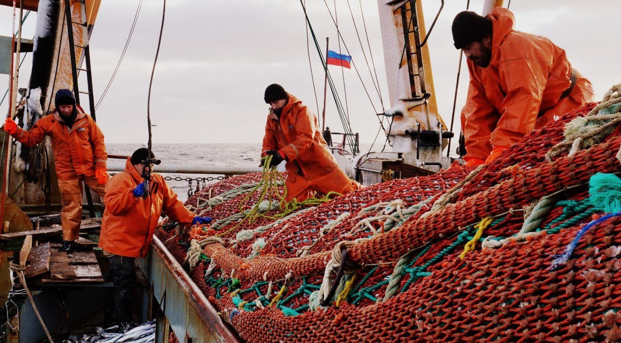 Российские рыбаки в 2025 году обновили рекорд по добыче минтая объем вылова превысил 2 1 млн тонн сообщило Росрыболовство Это лучший результат за последние более чем 25 лет отмечается в публикации Россия занимает лидирующие позиции в мире по вылову минтая на который приходится более 40 общего объема национальной добычи