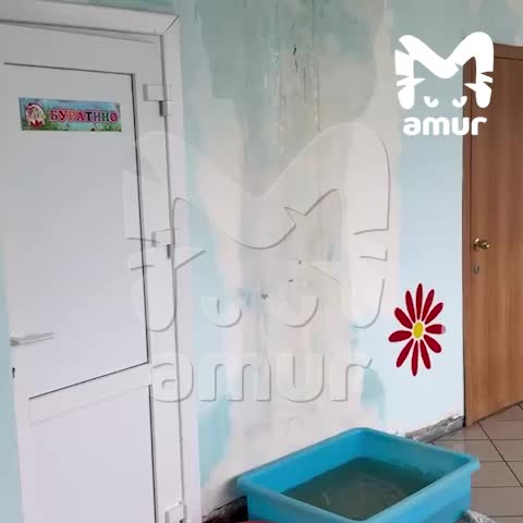 Закрытие детсада в Красноярске и проблемы с ремонтом во Владивостоке вызывают беспокойство родителей