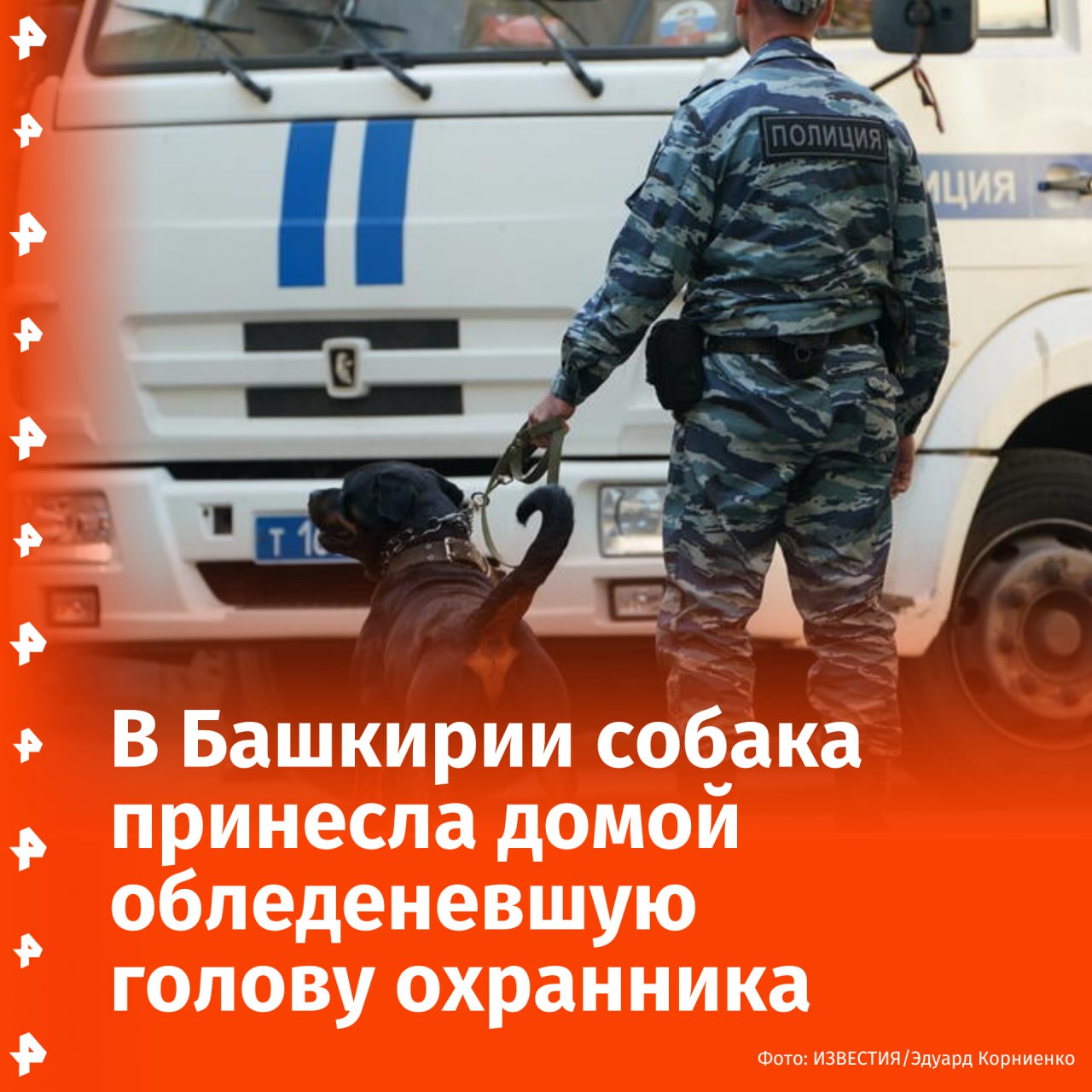 Собака принесла домой обледеневшую голову охранника из Башкирии. Находка привела правоохранителей к убийце, совершившему жесткое убийство в Уфе.  По данным источника РЕН ТВ, 23 декабря хозяин увидел питомца, который принес домой необычный обледеневший предмет. Мужчина не понял, что скрывалось подо льдом и просто оставил добычу в ведре.  Весной местный житель вернулся на участок и обнаружил, что в ведре остался человеческий череп. Тогда он обратился к правоохранителям.  Выяснилось, что погибший — 61-летний охранник, который в октябре 2024 года повздорил с товарищем. 28 мая мужчина сознался и раскрыл детали смертельной потасовки. По его словам, в октябре он повздорил с жертвой, схватился за кочергу и нанес смертельный удар. Впоследствии он попытался избавиться от тела.  Подозреваемый был задержан. По факту преступления возбуждено уголовное дело по статье "Убийство".       Буст   Отправить новость