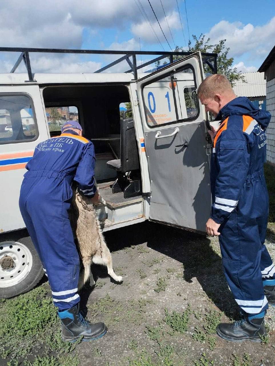 Спасатели помогли собаке, привязанной во дворе пустого дома в Камне-на-Оби Хозяин собаки умер, оставив питомца на цепи. Несколько дней пёс провёл один, голодая. Один из спасателей, направлявшийся на работу, заметил животное, покормил его и отвез в ветеринарную клинику. А позже собаке нашли новых хозяев, сообщает пресс-служба Управления по делам ГОЧС и ПБ. Катунь 24