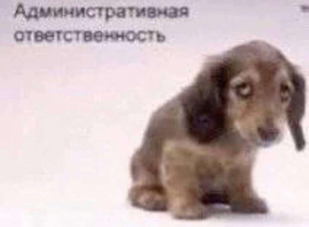 вводится за отказ читать дайджест новостей Возможность создать мозаичное панно в ДК химиков На Кремлевской набережной открылась тренировочная площадка В кафе Зеленая гречка пройдет мастер класс по этикету и сервировке стола Премьера певица Мелек трек Татар кызы Казань глазами инженера проведет экскурсию по пивоваренному заводу АБ ИнБев Эфес Победа отменила ограничения по весу ручной клади и увеличила габариты места для нее В галерее Хазинэ откроется выставка живописца Виктора Анютина В Казани пройдет экологический турнир Студенческий кубок чистоты Охранник альметьевских Открытых мастерских Рашит Шакируллин дал интервью Объединению