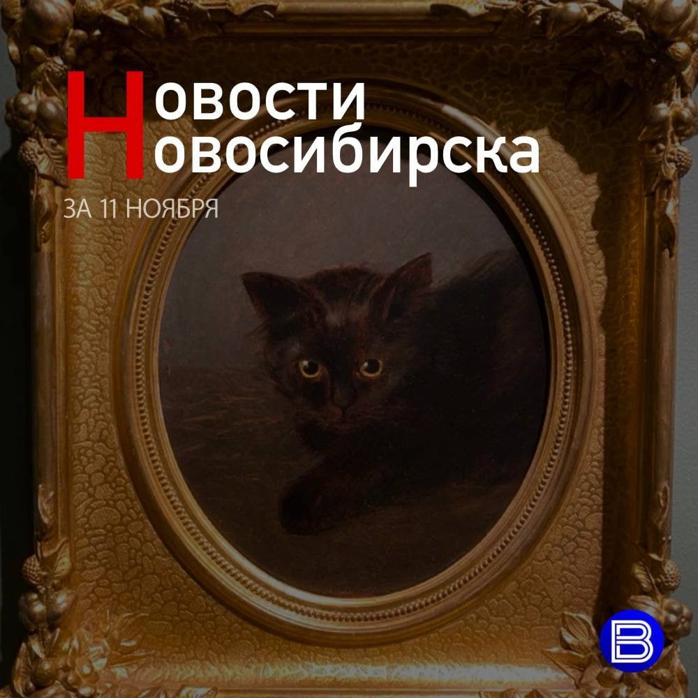 ⏺Дождались! Утром 11 ноября в Новосибирске возобновили движение по всем полосам Октябрьского моста.   ⏺Поели Булочку. Новосибирские ветеринары спасли королевского питона по имени Булочка, который устроил побег из террариума и угодил в зубы другому домашнему питомцу — собаке.   ⏺Последняя подкачка. Припорошённое снегом тело мужчины обнаружили на улице Фрунзе в Новосибирске.   ⏺Улица Ленина — снова пешеходная. В Новосибирске закрыли движение транспорта от площади Ленина до улицы Советской. Ограничения для автомобилей будут действовать до 10 февраля 2025 года.   ⏺Погода никак не наладится. На неделе с 11 по 15 ноября снег и ветер не покинут Новосибирскую область.