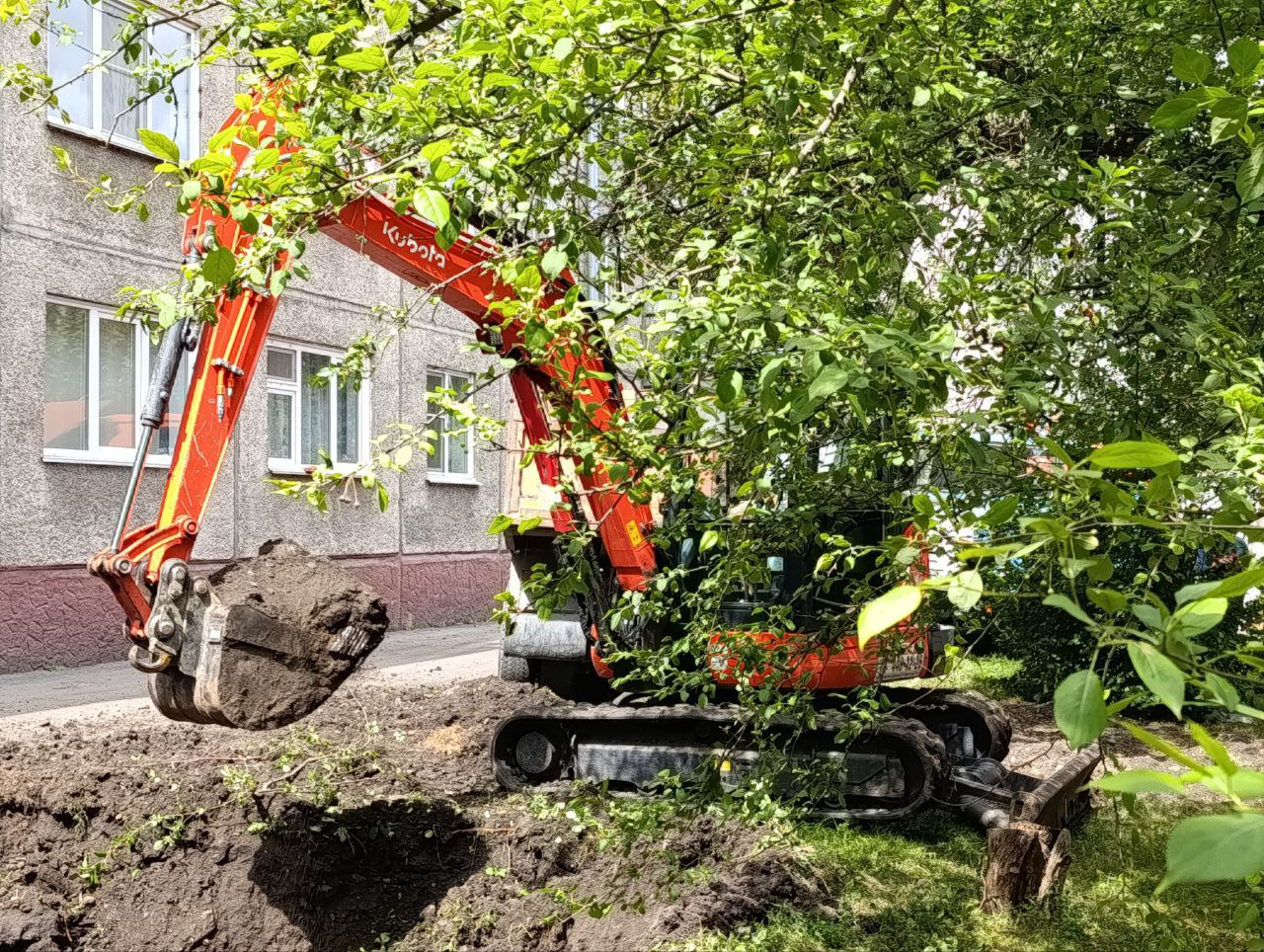 На улице Мичурина в Кемерове начались работы по замене изношенного трубопровода тепловой сети. Под замену идут 186 метров труб диаметром 200 мм с устройством одной тепловой камеры. Проезжая часть дороги открыта. Горячая вода в соседние дома будет подаваться без ограничений. Работы завершат до осени. Участок ничем особо не примечательный, но он привлёк к себе внимание главы города Дмитрия Анисимова. Дело в том, что лет тридцать назад рядом с теплосетью высадили пару десятков мелкоплодных сортов яблони. Несколько кустов появились совсем недавно прямо над теплотрассой. С точки зрения закона никаких насаждений в охранной зоне теплосети быть не должно, а значит все деревья пошли бы под сруб. Рука на это у энергетиков СГК не поднималась. Проблемой заинтересовался и глава города, собрав на улице Мичурина выездное совещание на эту тему. Дмитрий Анисимов: Молодые деревья и кустарники, которые невозможно обойти, принято решение аккуратно выкопать и пересадить в подготовленные места. А многолетние яблони, которых здесь несколько десятков, будут сохранены. Всё так и было сделано. А для раскопки теплотрассы пришлось задействовать мини-экскаватор с компактной рукоятью ковша – время работы это увеличивает, зато позволяет работать в стеснённых условиях. Всё по плану – и работы на теплосети идут, и яблони целы.