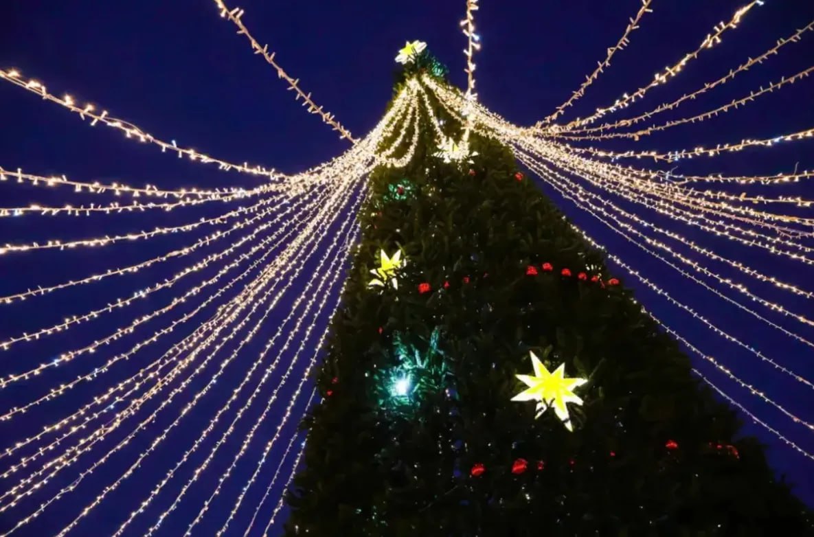 Главная ёлка Хабаровского края засияет огнями в первый день зимы Огни зажгут на главной краевой елке сегодня в первый день зимы 18 метровая зеленая красавица засияет на площади Ленина в 18 часов Мини церемонию сопроводит выступление студии народного творчества Елань и праздничные хороводы Собрали елку из 1 5 тысяч колючих веточек а украшать ее в этом году решили шарами в цветах флага Хабаровского края для этого закупили более 500 таких игрушек также обновили световую иллюминацию todaykhv