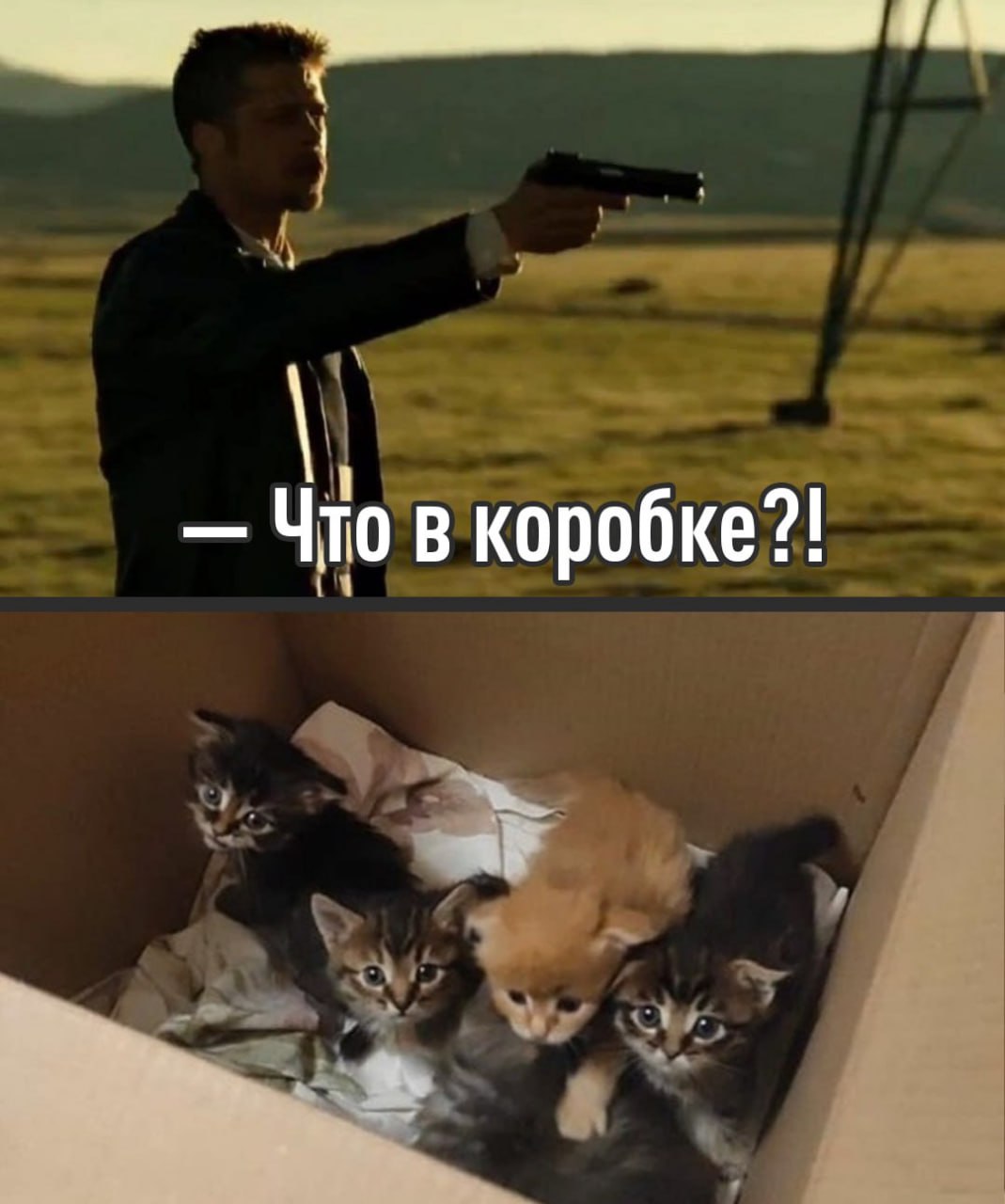 Топ 100 фильмов с удивительными финалами Недавно был создан список кинолент которые поражают зрителей неожиданными концовками Он включает в себя разнообразные жанры от малоизвестных ужастиков до известных голливудских триллеров Среди них такие картины как Шестое чувство Бойцовский клуб Олдбой и Паразиты Каждая из них заставляет пересматривать всё что вы видели на экране TechGPTNews