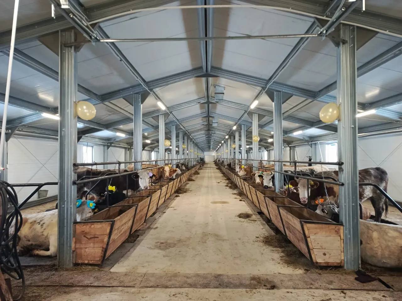 В Якутской Арктике создаётся сеть торгово логистических и сельскохозяйственных объектов   В Якутии продолжается реализация крупных проектов по развитию инфраструктуры Арктической зоны Об этом рассказал замминистра по развитию Арктики и делам народов Севера Михаил Погодаев В этом году в Верхоянске был введён крупнейший по площади торгово логистический центр в Арктике До конца года планируется ввести в эксплуатацию ещё три подобных объекта в Оленьке Батагае Алыте и Чокурдахе Помимо логистической инфраструктуры в Арктике возобновилось строительство крупных сельскохозяйственных объектов Подробнее   ulusmedia Читайте нас в MAX