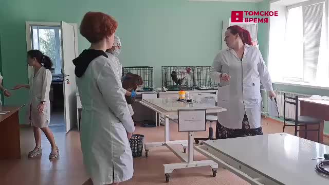 В Орле 38% выпускников профколледжей сдали экзамен на «отлично»