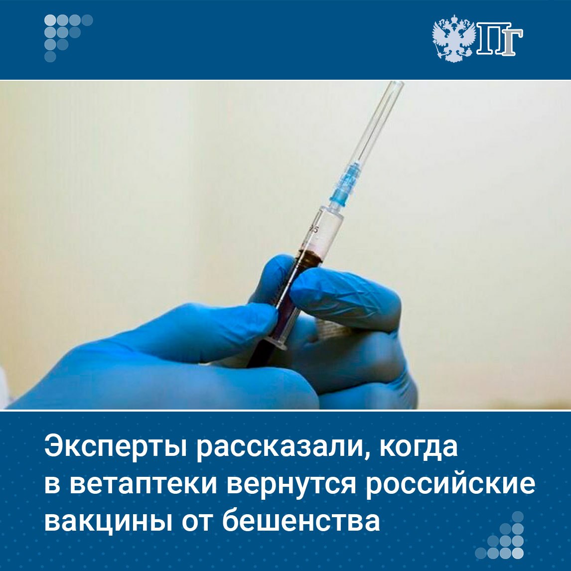 В апреле и начале мая у владельцев животных возникли сложности с покупкой вакцин от бешенства для питомцев. До 2022 года хозяева приобретали зарубежные препараты, но после введения санкций перешли на отечественные. Сейчас из-за нехватки мощностей российские компании не справляются со снабжением, из-за чего возникает дефицит. Однако, как ожидают ветеринары, ситуация стабилизируется к началу лета. «Парламентская газета» разбиралась, какие животные могут не пережить нехватку вакцины и как хозяевам защитить любимцев. Подписаться на «Парламентскую газету»