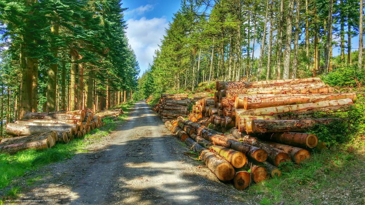 Объемы продукции лесопромышленного комплекса сокращаются Объемы производства основных видов продукции лесопромышленного комплекса в ближайшие годы будут сокращаться прогнозируют в Минпромторге В 2025 году мы наблюдаем существенное снижение уровня производства продукции При этом ввиду усложнения геополитической ситуации по нашей оценке в 2026 2027 годах эта ситуация может продолжиться заявил замминистра промышленности и торговли РФ Михаил Юрин на заседании Совета по вопросам развития лесного комплекса при Совете федерации В 2025 году объем лесозаготовки в России может упасть на 6 3 до 180 млн кубометров Это наименьший показатель с момента начала СВО Об этом сообщает Коммерсантъ в материале Потерялись в лесу Основными факторами негативно влияющими на сектор господин Юрин назвал дальнейшее сохранение высокой ключевой ставки усиление санкционного давления укрепление рубля к доллару а также закрытие оставшихся экспортных рынков При самом худшем сценарии падение выпуска такой продукции как фанера пиломатериалы и целлюлоза может достичь 20 30 сообщил он По данным Росстата за девять месяцев 2025 года динамика производства практически по всем основным видам продукции лесопромышленного комплекса была отрицательной Так выпуск пиломатериалов сократился на 1 6 до 24 4 млн кубометров фанеры на 3 до 2 8 млн кубометров древесно стружечных плит на 3 до 9 6 млн кубометров древесноволокнистых плит на 0 6 до 587 млн кубометров целлюлозы на 1 5 до 7 млн тонн Исключением из негативного тренда стали лишь бумага и картон рост на 0 7 до 8 9 млн тонн и пеллеты рост на 19 7 до 1 1 млн тонн В подобной кризисной ситуации отмечал господин Юрин лесной отрасли необходимо понимание какими будут регулирование отрасли фискальная нагрузка и тарифная политика в ближайшие пять десять лет чтобы спрогнозировать свои операционные планы и капитальные затраты Ответить на эти вопросы планируется в стратегии развития лесного комплекса до 2035 года В первую очередь кризис связан со снижением спроса на открытых для российских производителей зарубежных рынках главным образом в Китае который не только потреблял российскую продукцию но и реэкспортировал ее за рубеж Для Китая полузакрыт рынок ЕС по многим позициям у него большие сложности с торговлей с США свои внутренние проблемы по строительству Поэтому спрос на экспорте падает и будет снижаться пояснил вице президент Segezha Group Николай Иванов Одной из главных недоработок действующей стратегии эксперт назвал отсутствие в ней раздела о лесном машиностроении и анализа обеспеченности лесозаготовительной техникой По оценке Segezha Group к 2028 году ее износ составит 90 Мы сейчас пытаемся активно преодолеть проблему но это займет не три и не пять лет Раньше российская техника исчислялась десятками тысяч единиц а сейчас это единицы подчеркивает Николай Иванов По его словам через два года потребуется от 3 5 тыс до 10 тыс единиц лесной техники Это должно стать важной частью новой стратегии уверен он В Segezha Group уверены что в ближайшее время нужно концентрироваться на возможностях внутреннего рынка Господин Иванов пояснил что это вопрос синергии с другими отраслями транспортом логистикой строительством туризмом и энергетикой