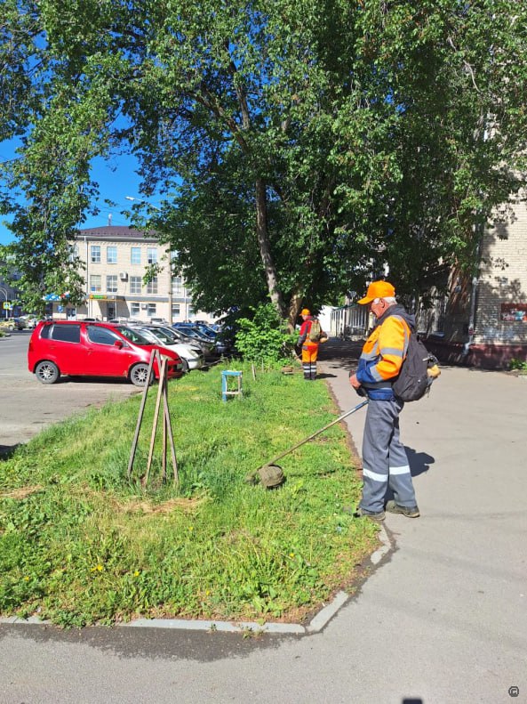 Скашивание травы вдоль обочин дорог проводится во всех районах города Барнаула Дорожная служба МБУ «Автодорстрой» г. Барнаула продолжает покос травы вдоль обочин автомобильных дорог. На сегодня работы выполнены на порядка 905 тыс. квадратных метрах. В дневную смену, 29 мая, покос травы проводится на улицах: Мамонтова, Сухэ-Батора, Заринской, Бабуркина, Попова, 80 Гвардейской Дивизии, Германа Титова, Аванесова, на проспектах - Космонавтов и Калинина. Также продолжается уборка грунтового наноса, сегодня работы проводятся на улицах: Парфенова, Челюскинцев, Ядринцева, Антона Петрова. В работах по санитарной очистке и покосу травы занято 115 дорожных рабочих и 43 единицы техники.