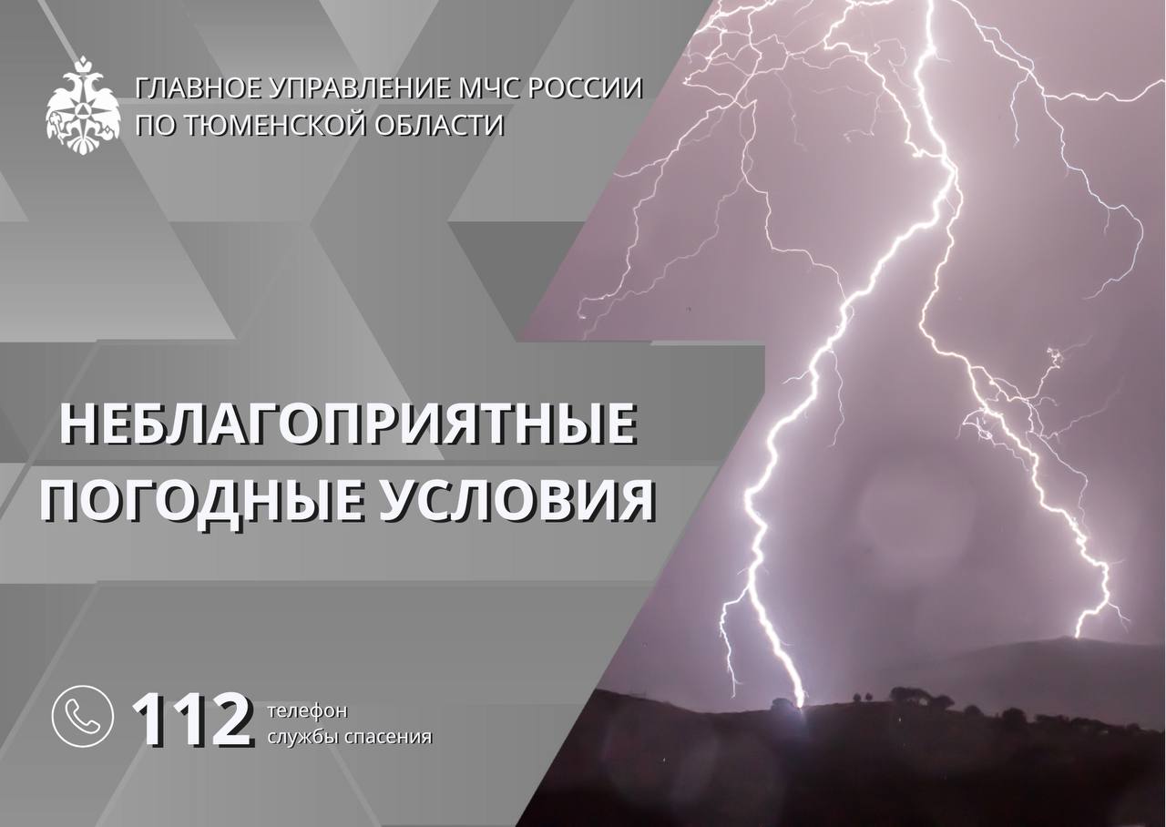 Главное управление МЧС России по Тюменской области ИНФОРМИРУЕТ! По данным Тюменского ЦГМС, днём 2 июня ожидается местами кратковременный дождь, гроза. Ветер юго- западный ночью 3-8 м/с, днём 5-10 м/с, при грозе порывы 15-18 м/с. Температура ночью +12,+17, днём +27,+32. Будьте бдительны и осторожны! Соблюдайте правила безопасности. В случае возникновения экстренных ситуаций звоните по единому телефону 112