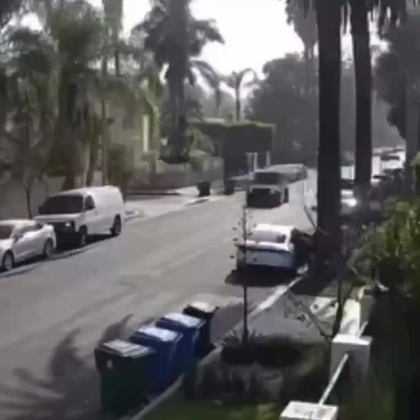 Дагестанка Патимат защитила дом от грабителей, протаранив их автомобиль в Лос-Анджелесе