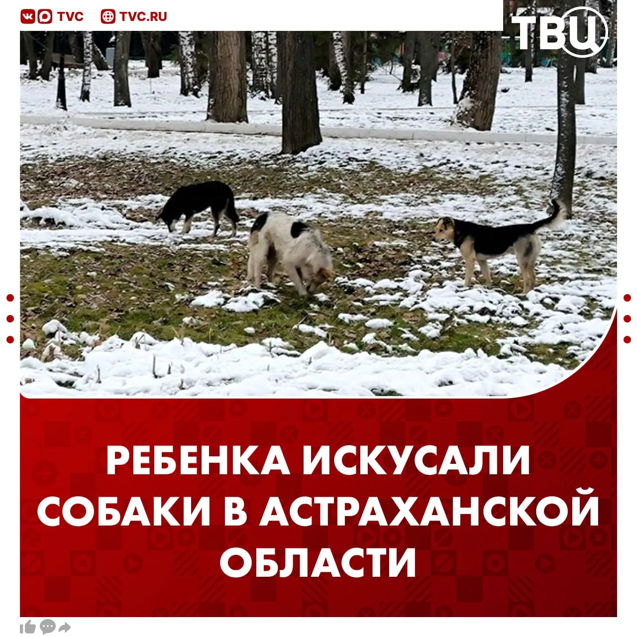 Трехлетняя девочка сбежала из детсада и была искусана собаками в Астраханской области Пока воспитателя не было рядом она сбежала через открытую калитку в парк в селе Чёрный Яр Там на неё напала стая собак Девочку госпитализировали в тяжелом состоянии у неё укусы головы туловища и конечностей Сейчас её уже перевели в обычную палату СК возбудил уголовное дело Не грузятся фото и видео Читайте ТВЦ в MAX