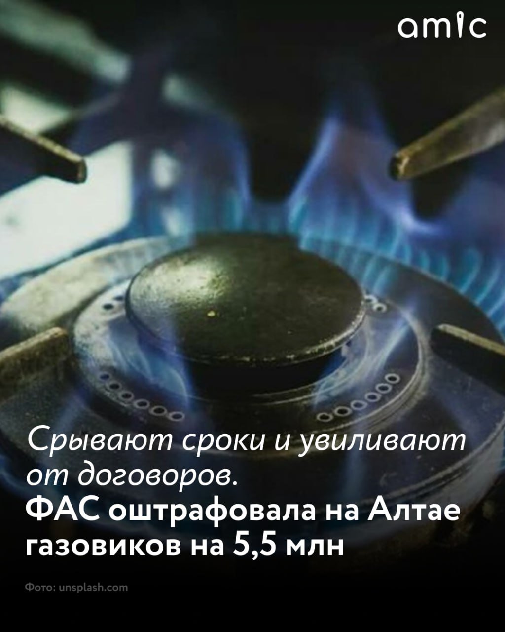 ФАС оштрафовала на Алтае газовиков на 5,5 млн  Такие санкции к компаниям чаще всего применяли из-за срыва сроков догазификации. Об этом 12 февраля на пресс-конференции сообщил руководитель регионального управления ФАС Андрей Гостюшев.  "По некоторым объектам догазификация должна быть проведена за полгода, но компания, заключая по заявке договор, ставит себе срок год. Есть факты, когда организации необоснованно уклоняются от заключения такого договора. Но чаще всего нарушения мы фиксируем по уже заключенным договорам: компания из-за большого массива не в силах в срок выполнить свои обязательства надлежащим образом, даже с привлечением сторонних подрядчиков", – рассказал Гостюшев.  Всего в 2024 году УФАС установило 74 таких нарушения. Такие факты подтвердились в Барнауле, Бийске, Белокурихе, а также в ряде районов края.