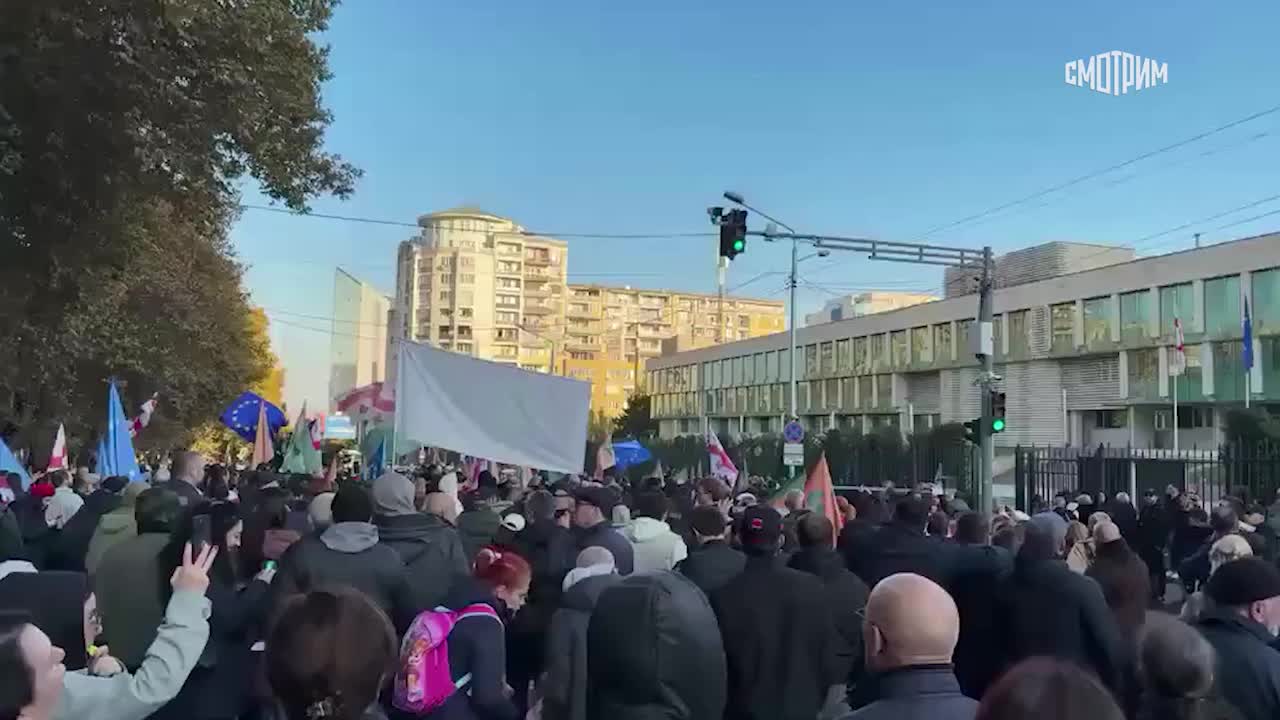 Оппозиция Грузии проводит шествие в Тбилиси против результатов выборов