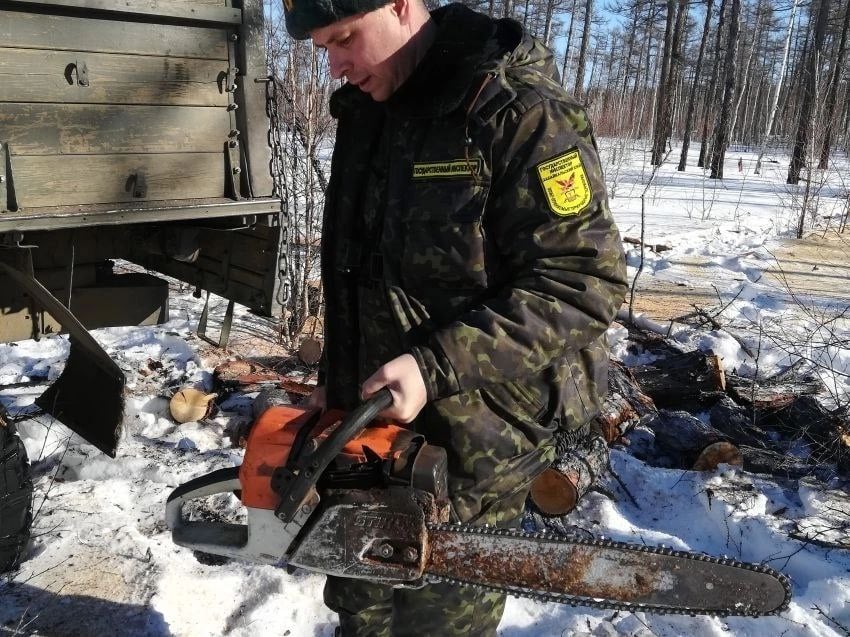 «Чёрные» лесорубы спилили деревьев на 2,3 млн рублей в Забайкалье за неделю.  Восемнадцать нелегальных рубок леса общим объемом порядка порядка 283 кубометра выявили в Забайкалье за прошедшую неделю. Ущерб от действий злоумышленников составил 2,3 млн рублей. Об этом сообщили в пресс-службе регионального Минприроды.    - Большинство правонарушений выявлено на территории Читинского района. Также факты незаконной рубки зарегистрированы в Агинском, Улетовском, Петровск-Забайкальском, Чернышевского и Шилкинском районах, - уточнили в ведомстве.   Информация по всем фактам была передана в полицию. Виновникам грозит наказание вплоть до лишения свободы. Также их обяжут возместить ущерб.    Обо всех нарушениях в лесах можно сообщить по номеру телефона Лесной охраны: 8 800-100-94-00.