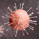 Аватар Телеграм канала: Вирусология