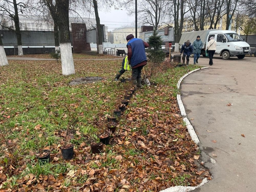 На Театральной площади появятся туи и кизильник www newsler ru society 2025 10 24 na teatralnoj ploshhadi poyavyatsya tui i kizilnik В Кирове продолжаются работы по озеленению общественных территорий