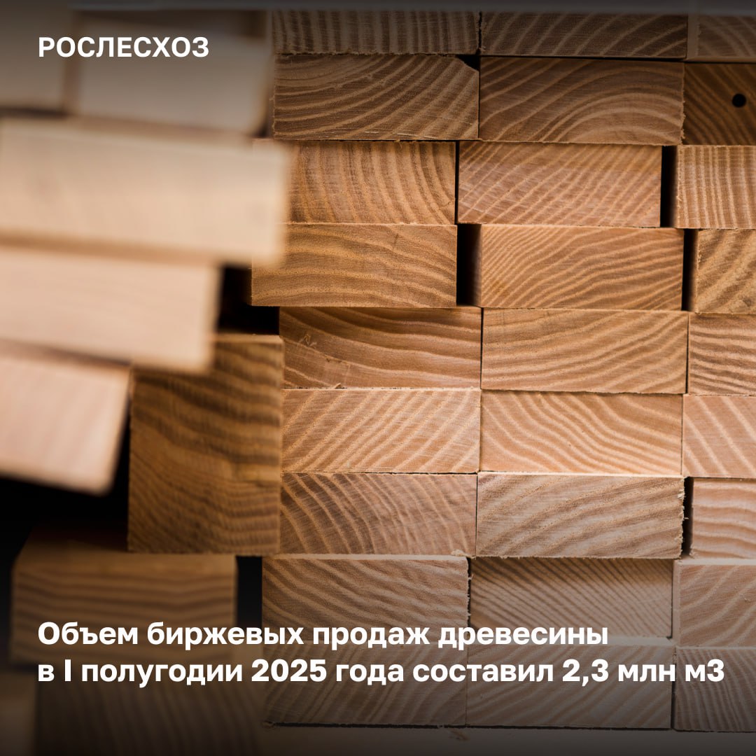 2,3 млн м3 древесины – это 98,7% всей подлежащей реализации древесины через биржевые торги.     Всего на организованных торгах заключено около 5,5 тыс. сделок на сумму 4,6 млрд рублей, средняя цена за 1м3 составила 2 тыс. рублей.  «Если в прошлом году на бирже государственными учреждениями-лесозаготовителями реализовывалось 94,5% древесины, то в этом году мы наблюдаем рост на 4,2%. Это, в первую очередь, говорит о росте ответственности регионов в части продажи лесоматериалов через биржевые торги. Кроме того, повлияло и совершенствование законодательства. За внебиржевые сделки предусмотрена административная ответственность для руководителей госучреждений. Наша задача развивать биржевые торги древесиной и вывести их на новый уровень, когда будут продаваться не только лесоматериалы, но и пиломатериалы», - подчеркнул начальник Управления надзора и использования лесов для заготовки древесины Рослесхоза Алексей Абрамов.  ⌛  Топ-5 субъектов с наибольшими объемами биржевых торгов в I полугодии 2025 года:  - Красноярский край, Вологодская, Тверская и Свердловская область, Республика Удмуртия - на их долю приходится практически 70% всей реализации региональных лесных госучреждений.    Cформирован график ежегодных семинаров для регионов. Они будут проведены по всем округам с участием представителей ФАС России, биржевых площадок и субъектов.