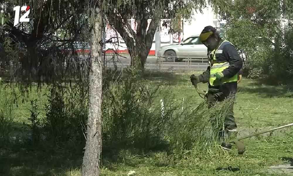 Службы благоустройства приводят в порядок омские парки и скверы В течение мая запланировано провести покос более 275 гектаров городских территорий. На сегодняшний день работники обработали уже свыше 150 гектаров. Ежедневно сотрудники УДХБ косят траву в скверах, парках и пешеходных зонах. Кроме того, для выполнения работ привлекаются подрядные организации. Подрядчики выкашивают траву на улицах Серова, Конева, Панфилова и многих других.