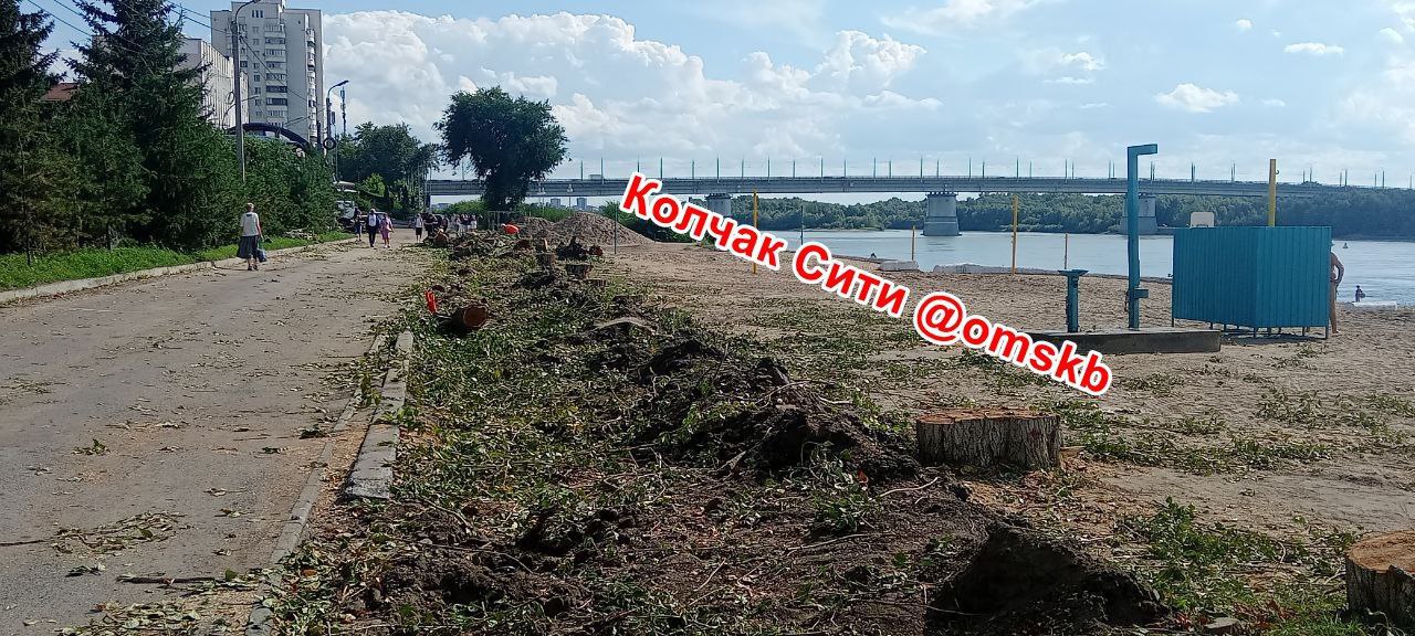 "Озеленители" спилили деревья у Куйбышевского пляжа У Кадетского корпуса вырубили целый ряд красивых деревьев. Печаль... На месте вырубленных деревьев осенью обещают посадить черемуху.... Фото Колчак-Сити