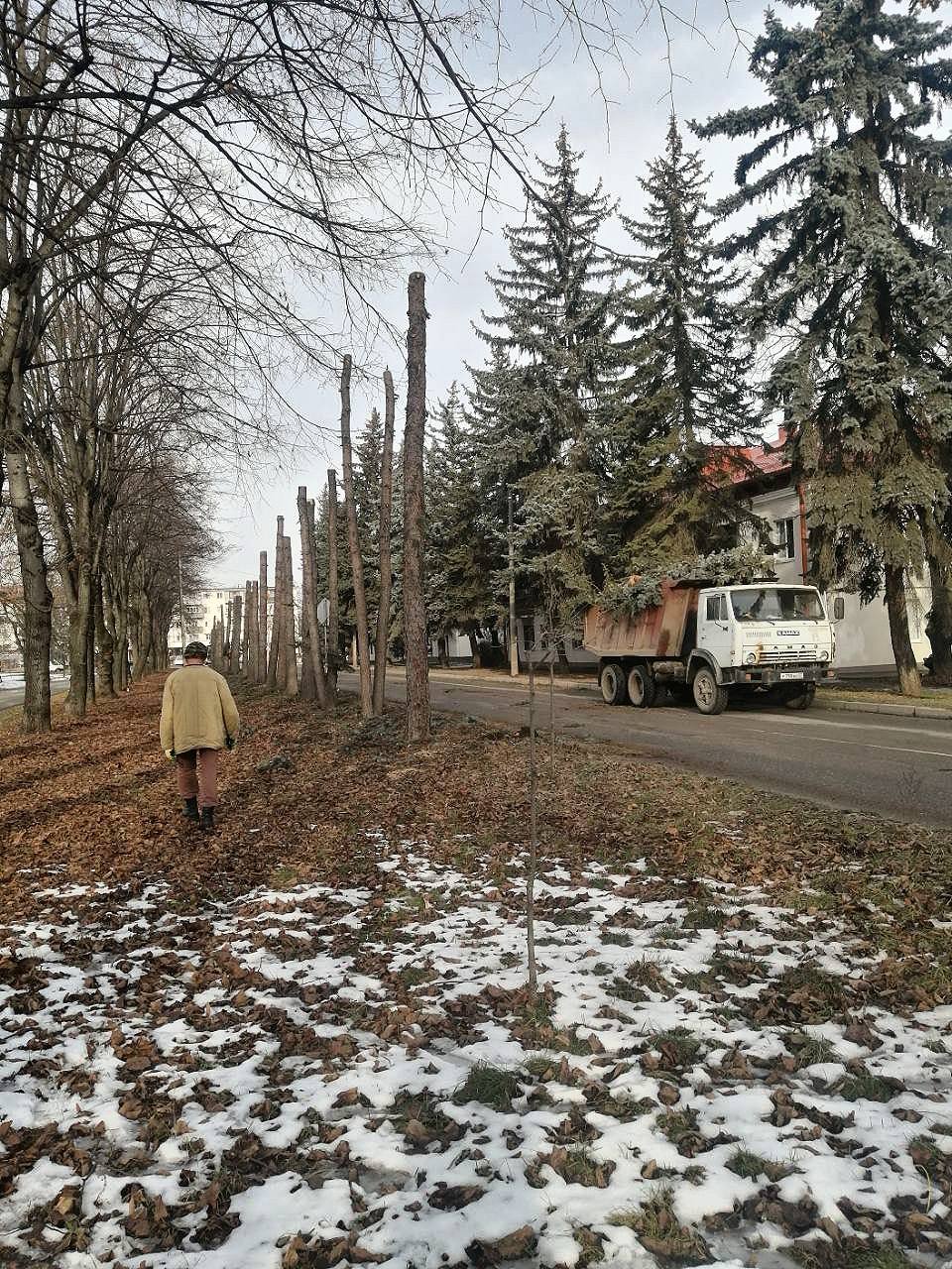 После возмущения жителей Нальчика вырубку деревьев приостановили Горожане высказали мнения в соцсетях о вырубке для ремонта улицы Карашаева Многие против Работы приостановили заявил глава республики Казбек Коков С учётом мнения жителей улицы будет скорректирован и сам проект ремонта Оставшиеся деревья сохранятся а уже спиленные будут заменены на новые высокорослые растения Для дальнейшего обсуждения проекта по моему поручению 7 января состоится встреча главы администрации города Нальчика с жителями улицы добавил Коков Фото Газета Юга   Подписывайтесь на Аргументы и Факты Северный Кавказ Telegram МАХ