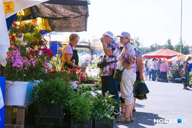 В Омске ищут подрядчика, который оформит традиционную выставку цветоводства и садоводства «Флора». Начальная цена контракта — 15 миллионов рублей. Об этом сообщил мэр Сергей Шелест в своем телеграм-канале. Заявки на участие в аукционе будут принимать до 19 июня, а определить победителя планируют 23 числа. Подрядчику предстоит создать восемь цветочных инсталляций. В этом году все они объединены темой 80-летия победы в Великой Отечественной войне. Разместить композицию собираются в Выставочном сквере. Пойдете на «Флору» в этом году? — да. — нет.
