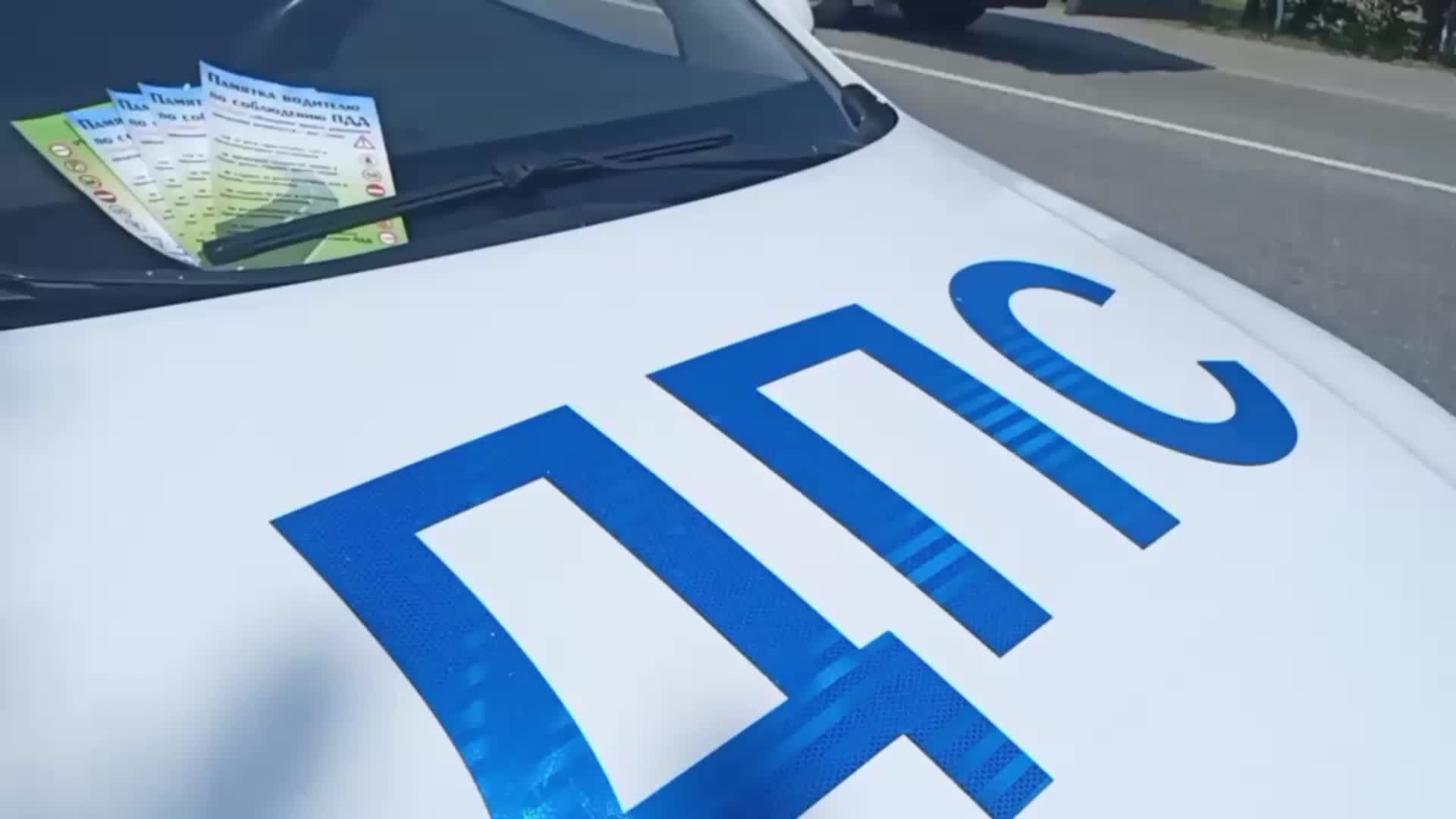 Госавтоинспекция Запорожской области проводит профилактическое мероприятие для повышения безопасности на дорогах