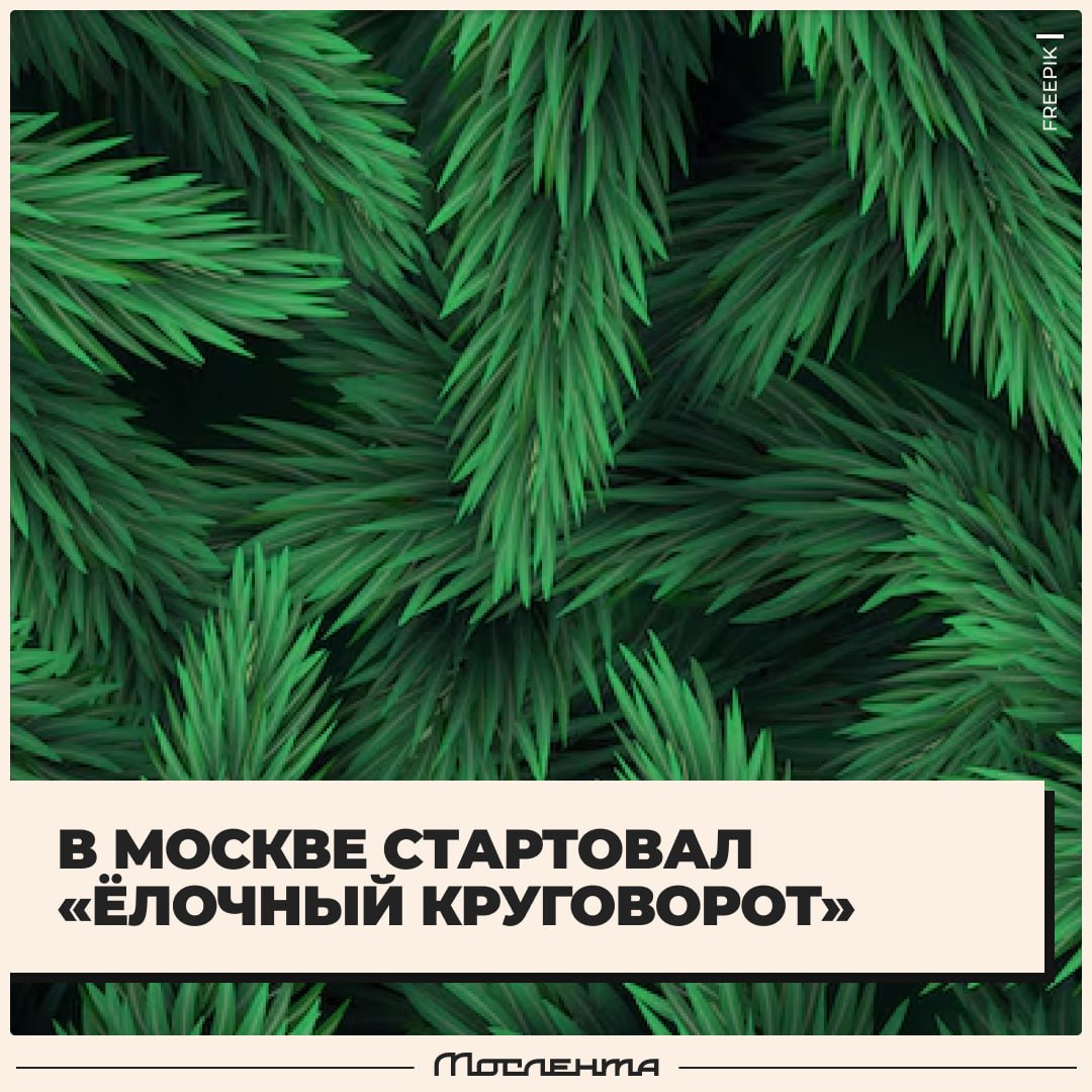 В Москве стартовал «Ёлочный круговорот» — экоакция по сбору и утилизации новогодних ёлок.  Если вы встречали новый год с живой душистой красавицей, но теперь она опала и больше не украшает вашу квартиру, её можно сдать в один из пунктов приёма. Бесплатно. Там её утилизируют таким образом, чтобы не только не нанести вред природе, но и дать ели вторую жизнь в другом качестве.  Акция продлится до 28 февраля. Перед сдачей деревьев, обязательно очистите их от мишуры и прочих украшений. Адреса пунктов можно глянуть тут