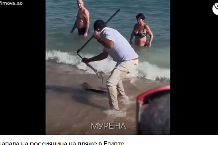 Огромная мурена напала на россиянина на пляже в Египте Крупная мурена напала на российского туриста в египетской провинции Хургада сообщает РИА Новости Мужчина госпитализирован Мужчина отдыхал на пляже отеля Beach Albatros в Хургаде когда около берега его укусила огромная рыба сообщает Life Очевидцы оперативно вызвали скорую пострадавшего госпитализировали Укусы мурены крайне болезненные и могут вызвать сильное воспаление отмечается в материале Life На видео снятом кем то их очевидцев прибывшие на помощь отдыхающим местные жители из числа обслуживающего персонала с помощью граблей вытащили рыбину из воды и погрузили в мешок vkvideo id 1167987 456240567 uralweb ru