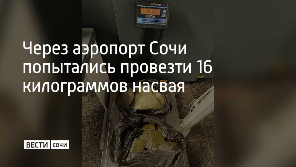 В аэропорту Сочи у пассажира, прибывшего из Таджикистана, обнаружили более 400 пакетиков с веществом темно-зеленого цвета. Экспертиза показала, что вещество является насваем общим весом в 15,84 килограмма. Возбуждено административное дело. С начала 2025 года по фактам незаконного перемещения табачной продукции: сигарет, сигарилл и насвая на таможенном посту в аэропорту Сочи возбуждено 36 дело об административных правонарушениях, сообщили в службе по Сочи Краснодарской таможни.