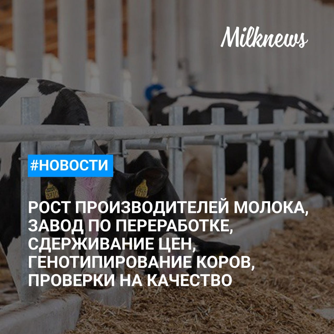 ЦРПТ: в Краснодарском крае число производителей молока в 2024 г. выросло на 14%    Крупный завод по переработке молока построят в Кировской области    Минсельхоз: компании предпримут все усилия для сдерживания цен на молочные продукты    В Ярославской области генотипируют коров ярославской породы    Роскачество: в России чаще всего проверяют на качество молочную продукцию и алкоголь