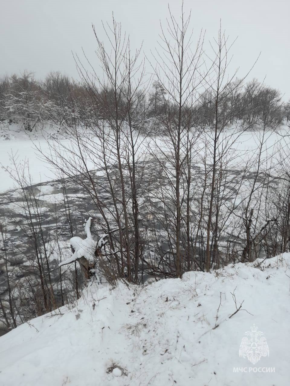 МЧС Башкирии раскрыл причину гибели двухсот баранов В МЧС Башкирии сообщили что на озере Узеть в Бирском районе провалились в ледяную воду более 200 баранов принадлежащих одному собственнику Причиной гибели животных стал неокрепший лед по которому бараны перенаправлялись на другой берег На место прибыли оперативная группа чрезвычайного ведомства и представитель Министерства природопользования и экологии Обратная связь Подписаться Подписаться в Max