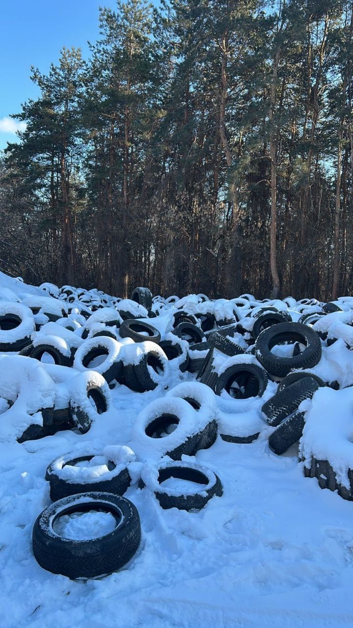 Ущерб на 9 млн: экологи потребовали от чиновников избавиться от свалки     Региональное министерство природных ресурсов и экологии потребовало от городской администрации убрать огромную свалку шин у хлебозавода на улице 45 Стрелковой Дивизии.    Экологи подсчитали, что почве причинен ущерб на 9 млн рублей.  «Территория, на которой находится свалка, является неразграниченной. В этом случае ответственность за загрязнение, истощение, деградацию, порчу, уничтожение земель и почв, и иное негативное воздействие на земли и почвы возлагается на местные органы власти», - сообщает региональный министр Наталья Ветер.