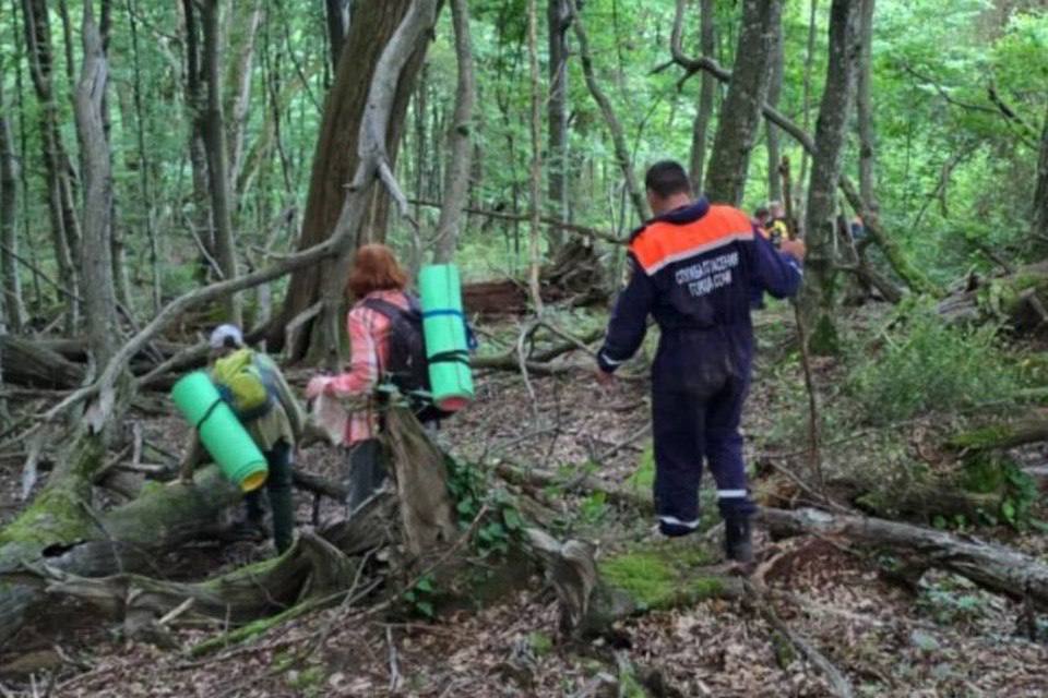 Потерявшихся в лесу бабушку с внуком нашли спасатели в Сочи. Пенсионерка и мальчик заблудились в лесу у горы Виноградной в Лазаревском районе. Спасатели нашли их до наступления темноты и проводили до вокзала в Лазаревском. Подписаться Прислать новость