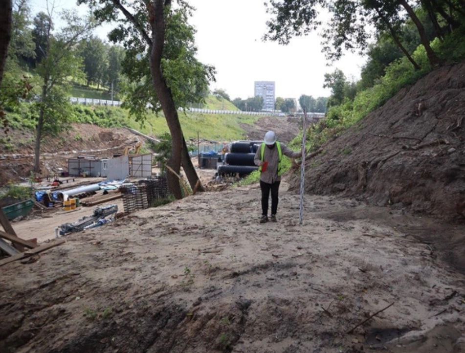 Археологи обнаружили зуб мамонта в Почаинском овраге  В Нижнем Новгороде археологи обнаружили на территории Почаинском овраге коренной зуб молодого шерстистого мамонта. Об этом рассказал губернатор Глеб Никитин.  Уточняется, что находка была выявлена на склоне — ближе к улице Рождественской, на глубине около 2 м от современной поверхности.  В начале прошлого века череп древнего животного нашли у подножия Нижегородского кремля.  Деловой квартал НН