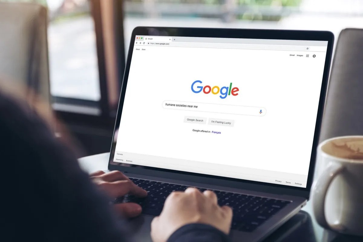 ФССП: долг Google LLC в России вырос до 27,2 млрд рублей Ранее суд неоднократно штрафовал компанию после выявленных нарушений. В частности, за неудаление фейков о действиях российской армии в ходе СВО. #Россия #ФССП #Google #долг