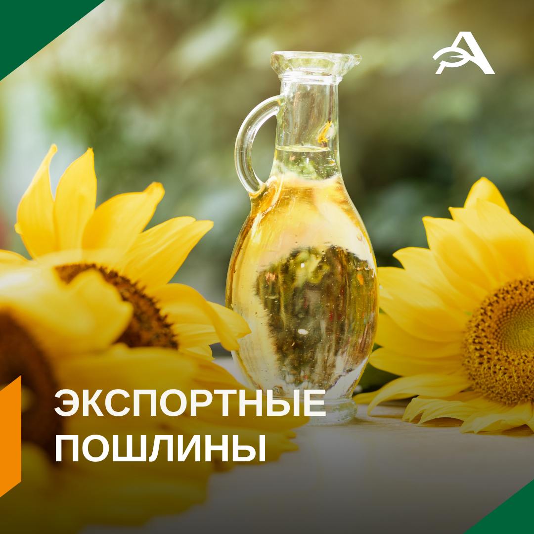 Минсельхоз рассчитал экспортные ставки в сентябре Пошлина на вывоз масла составит 5746 2 рубля за тонну шрота 1119 4 рубля за тонну С 25 июля действие пошлин было отменено до конца лета Но формально их рассчитали для августа 4640 1 рубля за тонну для подсолнечного масла и 963 3 рубля за тонну для шрота Плавающая вывозная пошлина на подсолнечное масло в размере 70 взимается с разницы между базовой 82 500 рублей за тонну и индикативной ценой среднее арифметическое рыночных цен за месяц Ставка пошлины на подсолнечный шрот равняется разнице между индикативной и базовой ценой 15 875 рублей за тонну умноженной на корректирующий коэффициент 0 7 пошлины agroexpert