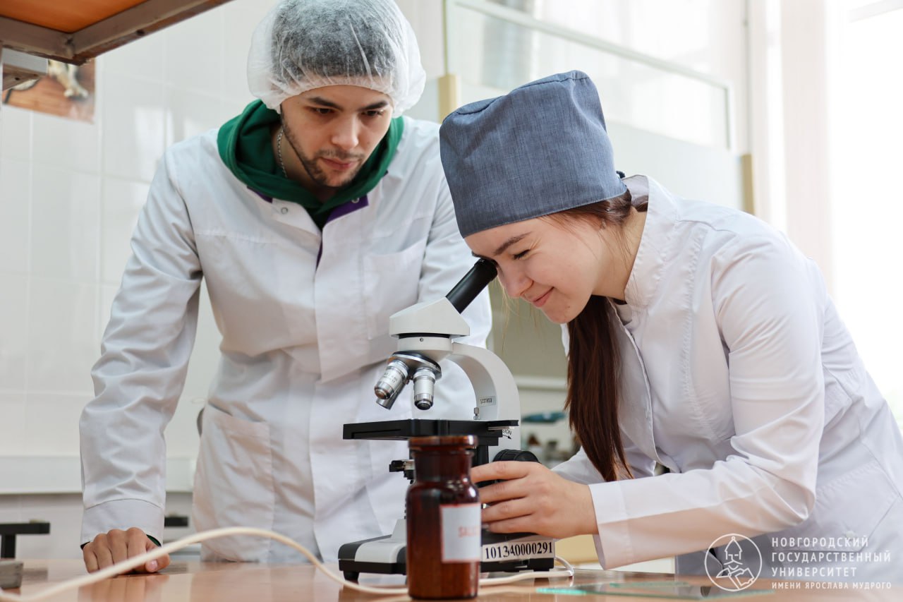 В свои 30 ты выглядишь на все 100 В журнале Вестник НовГУ рассказали о коррекции клеточного старения с помощью препарата убивающего клетки Учёные изучили как на клеточное старение влияют сенолитики средства избирательно уничтожающие постаревшие клетки которые накопились в организме перестали делиться но не погибли В качестве экспериментальных животных были использованы белые беспородные мыши Задачей исследования было определить эффективность сенолитического препарата FOXO4DRI при борьбе с клеточным старением Это состояние когда клетки прекращают деление такое может случиться например из за повреждений ДНК окислительного стресса хронического воспаления Постаревшие сенесцентные клетки не делятся но выделяют воспалительные факторы что повреждает ткани и вызывает возрастные заболевания Как проходило исследование читай здесь Самые горячие новости НовГУ только в МАХ Подписывайся Наука   Голосуй за канал