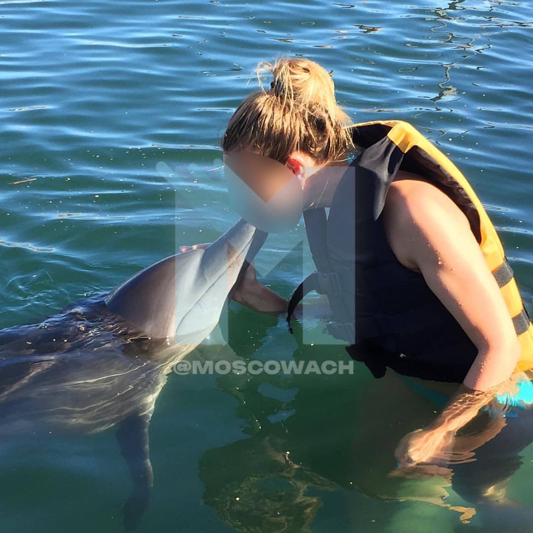 Москвичка погибла в Таиланде после укуса неизвестного животного 37 летняя Елена на новогодних праздниках отдыхала на Пхукете Во время купания её что то укусило спустя полтора часа женщине стало плохо Её доставили в местный госпиталь где она пережила клиническую смерть Спустя неделю девушка умерла В России у погибшей из родственников осталась только тётя которой пришлось влезть в долги чтобы транспортировать тело в Москву