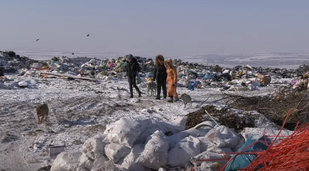Резня на городской свалке В Каушанах ищут живодеров На городском мусорном полигоне зоозащитники обнаружили более 50 трупов собак сообщают СМИ Предварительно животных застрелили а затем засыпали землей с помощью бульдозера Волонтеры уже написали заявление в полицию Нарушителям грозит от двух до семи лет тюрьмы за издевательство над животными