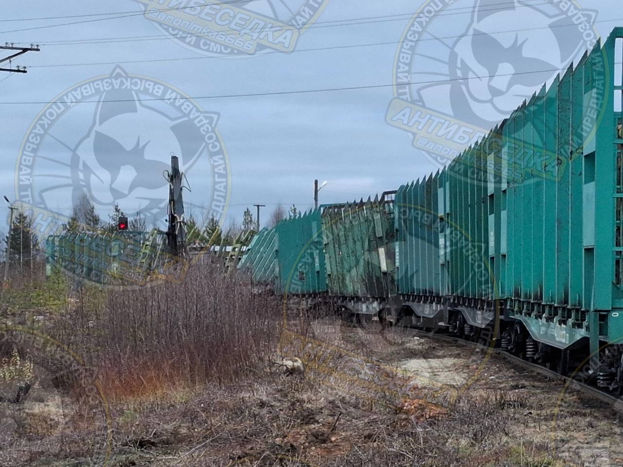 #карелия #поезда ‼ В Карелии с рельсов сошел грузовой поезд. В поселке Ледмозеро Муезерского района с рельсов сошел грузовой состав, сообщают местные жители. Подробностей и причин происшествия пока нет. В социальных сетях утверждают, что дорога и переезд заблокированы.