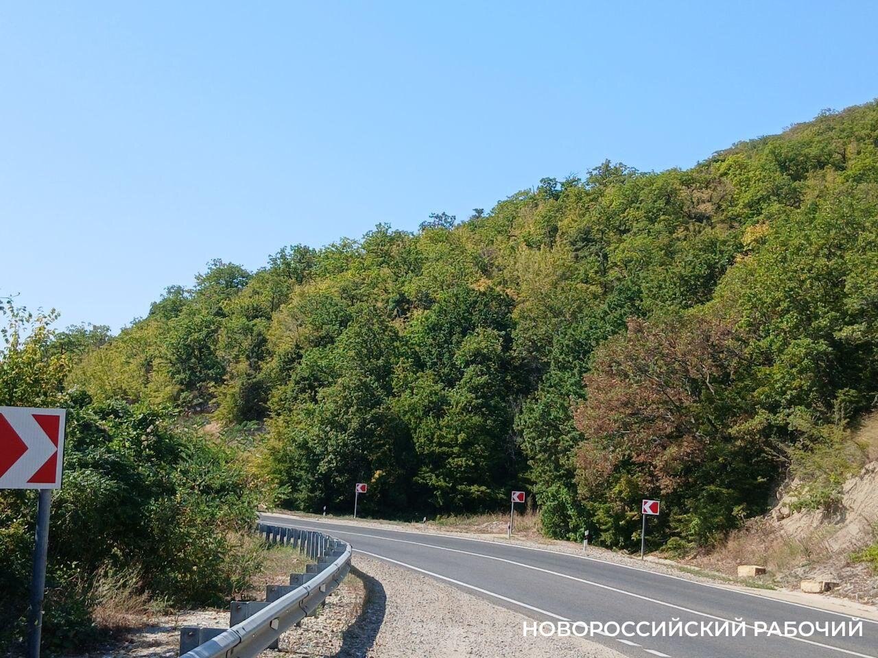 В Новороссийске погибла женщина водитель врезавшись в ограждение Вчера на трассе Новороссийск Керчь получила травмы несовместимые с жизнью женщина водитель Комментарии дал заместитель начальника Госавтоинспекции города Новороссийска Александр Пушкин По его словам женщина управляла автомобилем ВАЗ 2112 не справилась с управлением и врезалась в леерное ограждение Женщина скончалась от полученных травм до приезда скорой Сотрудники Госавтоинспекции города Новороссийска устанавливают обстоятельства дорожно транспортного происшествия Комментатор обратился ко всем водителям с просьбой соблюдать скоростной режим и дистанцию Напомним читателям что это уже вторая жертва дороги Новороссийск Керчь за последние несколько дней Утром 21 декабря на трассе погибла женщина пешеход novorab official Мы в МАХ